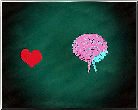 Heart-red-brain-blue-and-pink