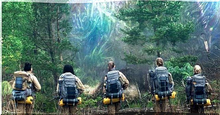 A scene from Annihilation