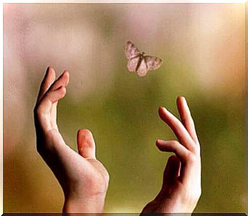 Hands-trying-to-reach-a-butterfly