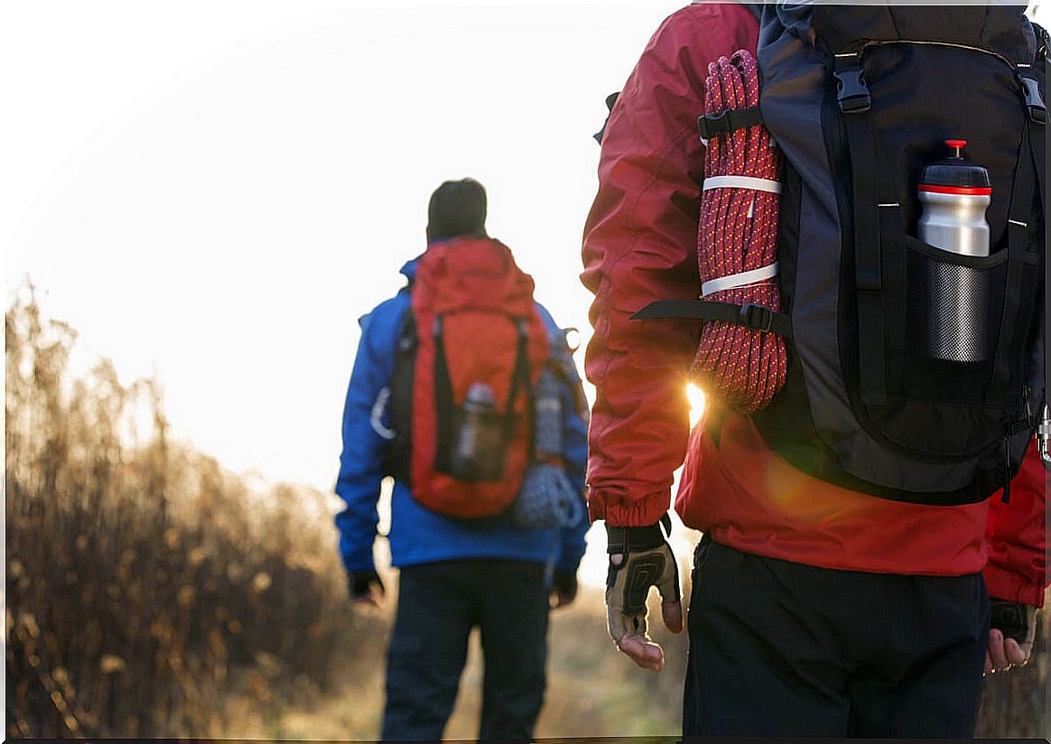 Hiking with adult siblings