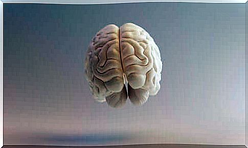 Imaging of a human brain