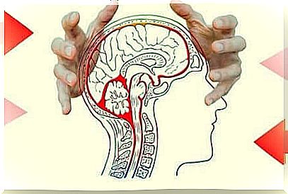 The effects of worry on the brain