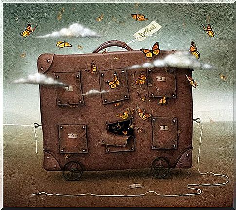 suitcases with butterflies